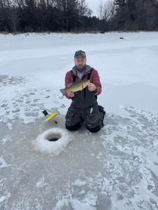 Smallmouth bass caught in WI