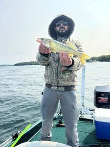 Angler proudly holding a 17-inch Walleye in Fort Atkinson