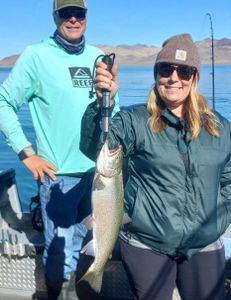 Solid cutthroat, Pyramid Lake.