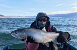 Trout Fishing Mastery: Hooking Memories