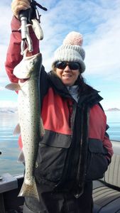 Expert Tips for Successful Trout Fishing Adventure