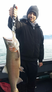 Native Beauty: Pyramid Lake Cutthroat
