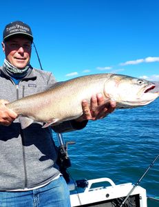 Chasing trout, casting joy