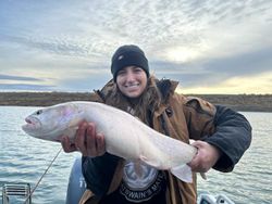 lahontan cutthroat trout