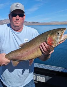 Impressive Lahontan cutthroat, Pyramid Lake.