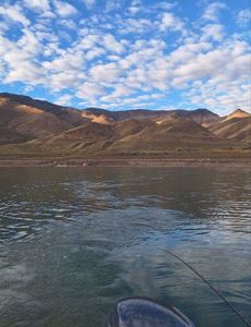 Pyramid Lake serenity, rod in hand