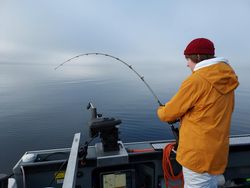 Guided Pyramid Lake Excursions