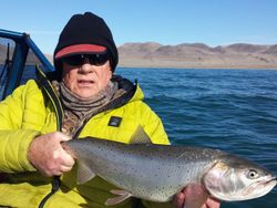 Trout Fishing Bliss: Find Solace 