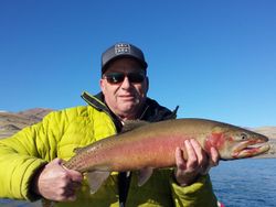 Rainbow Trout in Pyramid Lake