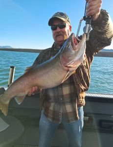 Pyramid pursuit: Trout tales