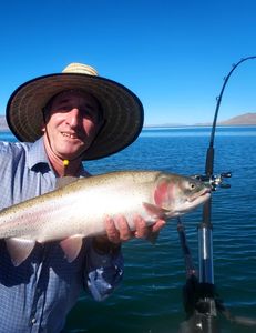 Trout vison in Pyramid Lake