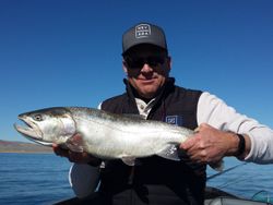 Chasing Rainbows: The Art of Trout Fishing