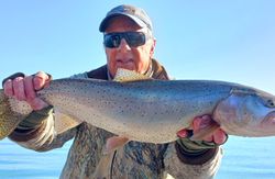 Trout Fishing Delight