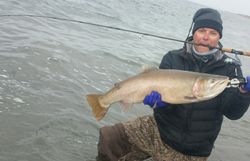 Vibrant Pyramid Lake Cutthroat Trout