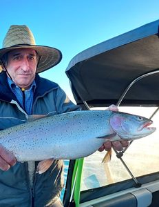 Pyramid's pulse, trout's heartbeat