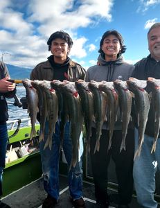 Three anglers with big fish caught while fishing in Reno