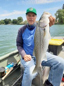 Delta stripers Thursday