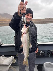 A photo of a rainbow trout caught while fishing in CA.