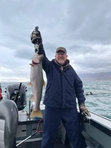 Chub mackerel caught while fishing in Reno