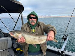 Cutthroat trout caught in CA while fishing