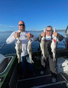 4 fish caught while fishing in California
