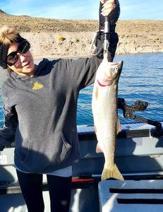 Fishing in the great outdoors of CA.