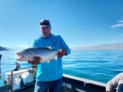 Angler fishing in California