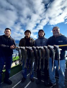 A group of 4 people fishing in Reno