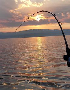 Fishing in Reno
