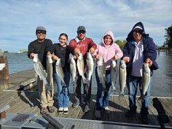 9 fish caught while fishing in CA