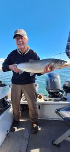 A rainbow trout caught by a person in California