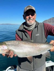 Caught a beautiful rainbow trout while fishing in CA