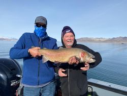 A rainbow trout caught in Reno, Nevada