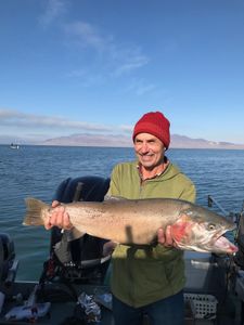 Fisherman catches a rainbow trout in Reno