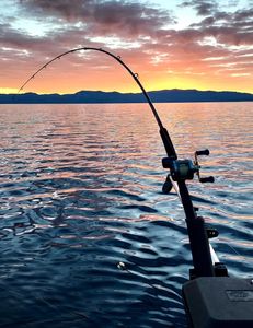 Scenic view of Reno, Nevada, a fishing destination.
