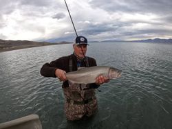 Bluefish caught while fishing in Reno