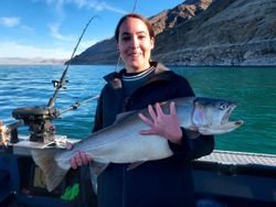 Angler fishing in Reno