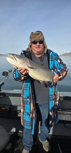 Lone angler fishing in Reno