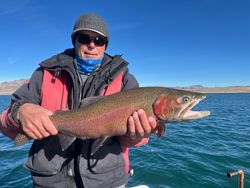 Angler holds a large rainbow trout caught in Reno