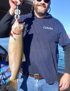 A majestic rainbow trout caught in Reno