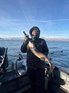 Lone angler fishing in California