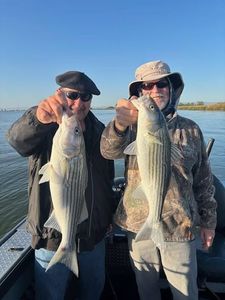 Two anglers fishing for striped bass in California
