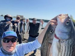 Striped bass caught in CA by group of 6 people fishing