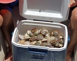 Best fishing cruises and tours in FL