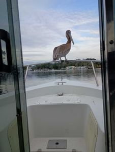 Fishing trip in FL with 1 fish