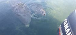 One fish caught on FL cruises, fishing, tours