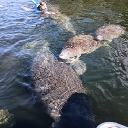 Scenic views of Florida during fishing cruises and tours