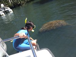 Homosassa cruises, fishing, and tours
