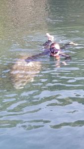 A single person on a fishing cruise in Homosassa