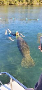 Homosassa cruises, fishing, and tours